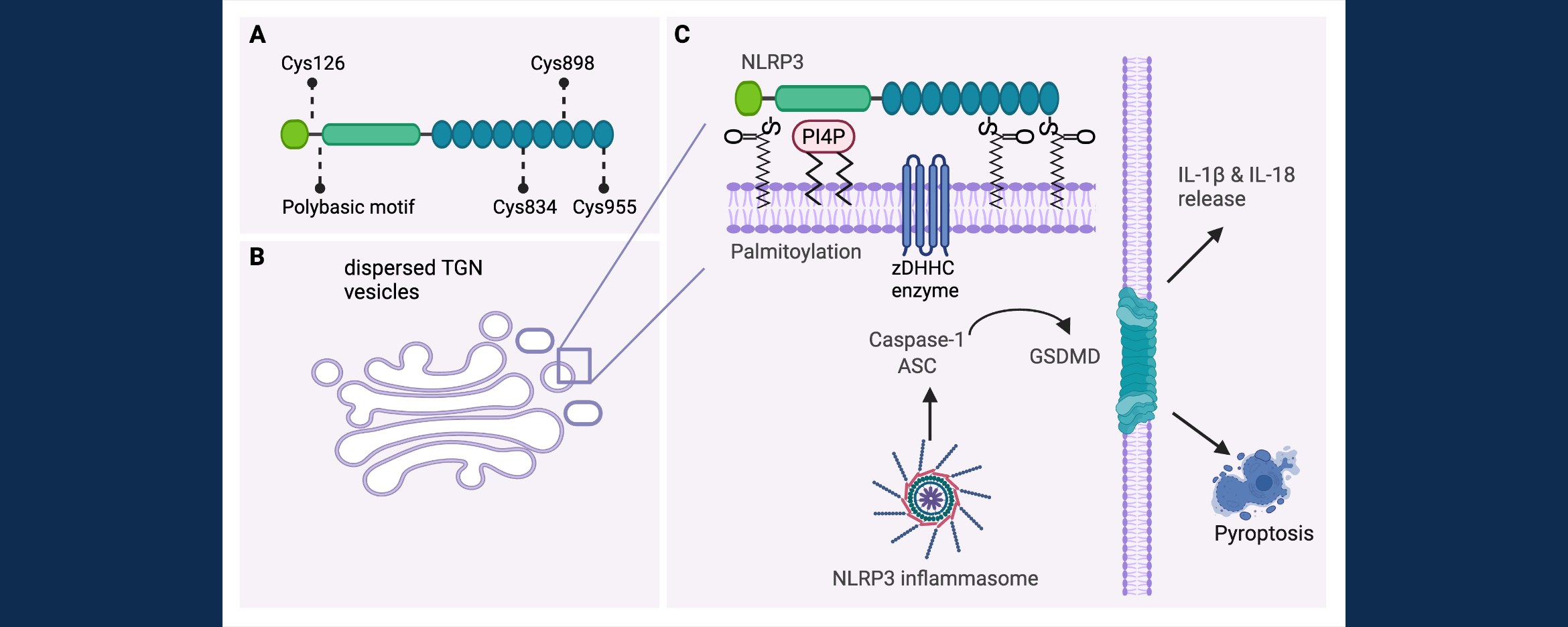 [Describe image: e.g. lipidomics data figure]